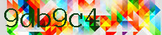 9ab9c4